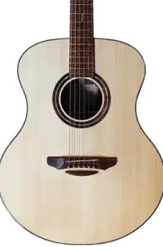 Acoustic Guitars